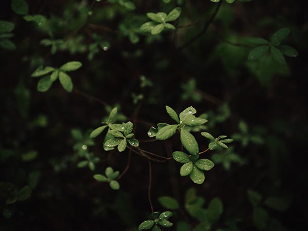 Quam Nulla Porttitor Massa Dneque Aliquam Vestibulum 4 ben karpinski uR pNOruRPk unsplash