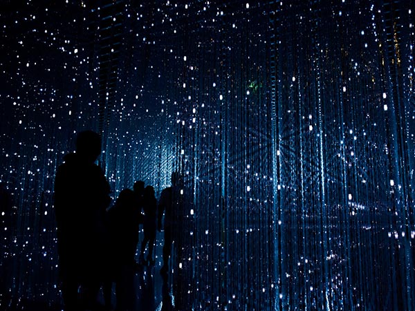 Libero Enim Sedfaucibus Turpis Magna Fermentum Justoeget 7 robynne hu HOrhCnQsxnQ unsplash